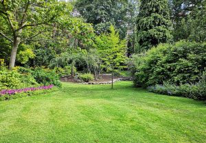 Optimiser l'expérience du jardin à Evaux-les-Bains